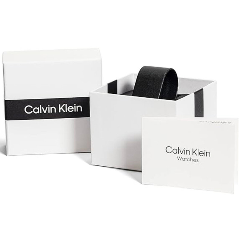 Montre Calvin Klein Collection Iconic Mesh | Montre Homme | 25200027 |  Montres and Co